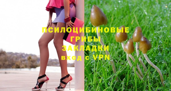 твердый Алексеевка