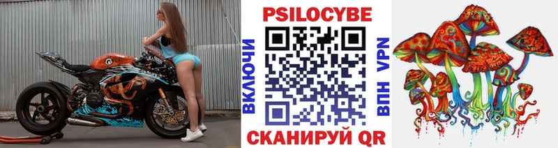 Псилоцибиновые грибы GOLDEN TEACHER  даркнет сайт  Менделеевск 